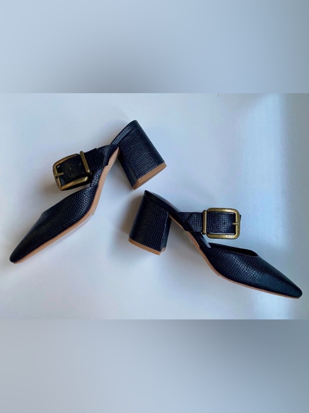 Charlotte Stone Gina Heels (Size 7, Tejus Black Shoes, New Unworn Without Box) - Picture 5 of 5